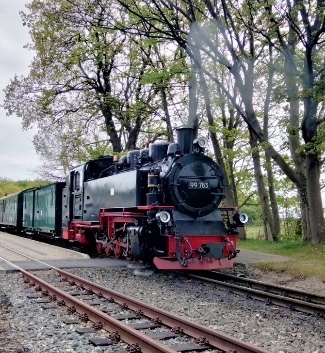 Ferienwohnung in Baabe - D&uuml;nenkieker - Bild 14
