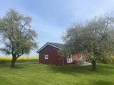 Ferienhaus in Neustadt - Holzhaus - Bild 12