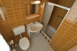 Appartement in Pelzerhaken - Am Waldrand - WC mit Waschplatz und Dusche