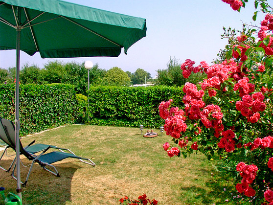 Bungalow in S&uuml;ssau - Bernhardt - Garten