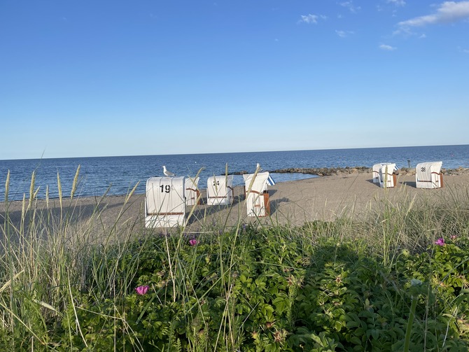 Ferienwohnung in Sch&ouml;nhagen - FerienWohnung Perlentaucher - Strand in Sch&ouml;nhagen