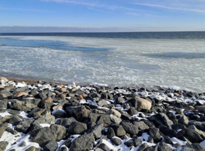 Ferienwohnung in Sch&ouml;nhagen - FerienWohnung Perlentaucher - Ostsee Sch&ouml;nhagen