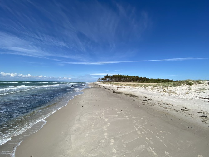 Ferienwohnung in Prerow - Haus zur See - WG Gruzdz - Weststrand