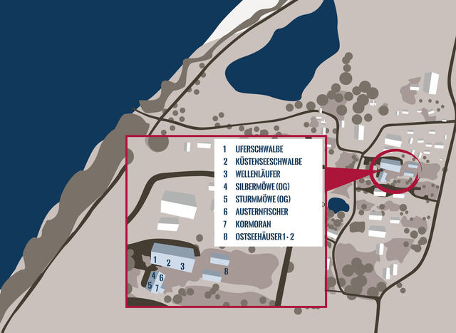 Ferienwohnung in Fehmarn OT Westermarkelsdorf - Sturmm&ouml;we - Bild 14