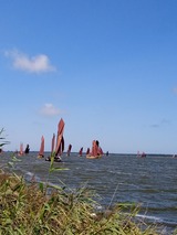 Ferienwohnung in Bodstedt - Sonnenschein FW3 - Bild 6
