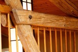 Ferienwohnung in Barkelsby - &ouml;kologische Ferienwohnung Rossee /Wohnung Ost - Bild 7