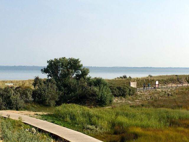 Ferienhaus in Heiligenhafen - Ostsee - Reetdachhaus Nr. 46 "Strandrausch" im Strand Resort - Bild 24