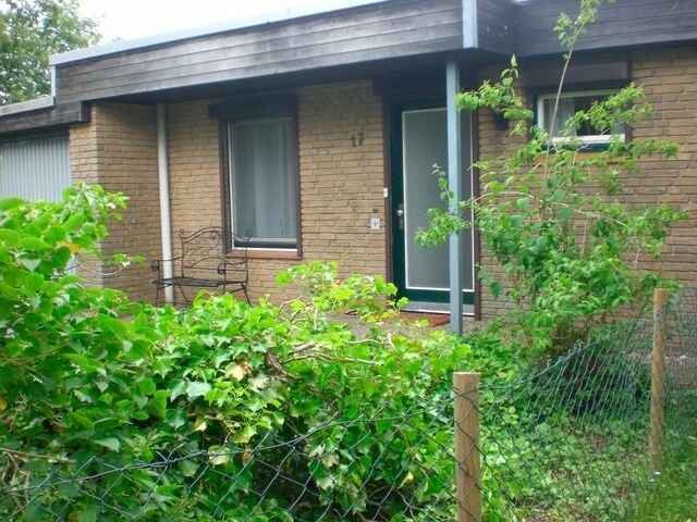 Ferienhaus in Fehmarn OT Marienleuchte - Haus f&uuml;r alle Felle - Bild 2