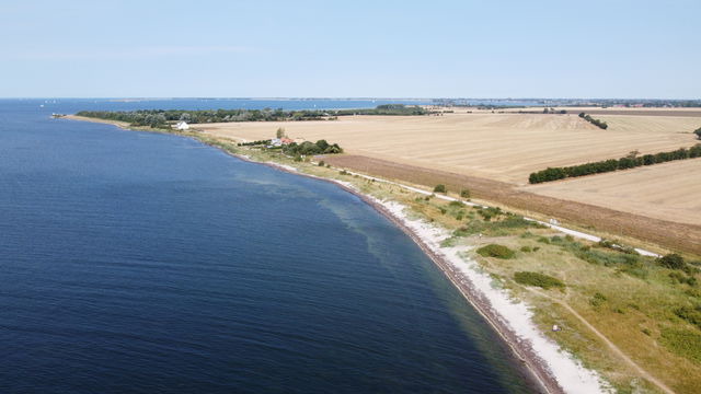 Ferienwohnung in Fehmarn OT Landkirchen - Haus Amy - Wohnung 1 - Bild 23