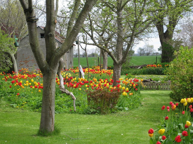 Ferienhaus in Fehmarn OT Ostermarkelsdorf - "L&uuml;tt Huus" - Bild 10