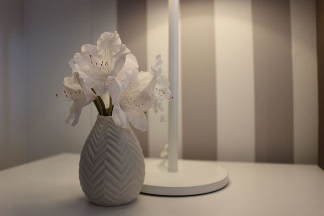 Ferienwohnung in Fehmarn OT Vadersdorf - Bauernhof H&ouml;pner Ferienwohnung "Zweisamkeit" - Bild 4