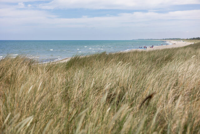 Ferienwohnung in Dierhagen - DER ST&Ouml;RTEBEKER - "Apartment Prerow" | Apartments hinter den D&uuml;nen - Bild 12