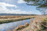 Ferienhaus in Ostseeheilbad Zingst - Am Deich 35 - Bild 13
