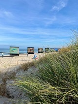 Ferienwohnung in Ostseeheilbad Zingst - Villa "Meereslust", Whg. 2 - Bild 22