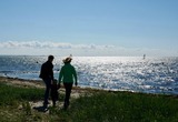 Ferienwohnung in Fehmarn - Knusthof Lafrenz - K&uuml;stenblick - Bild 9