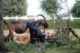 Ferienwohnung in Klaustorf - Moin Moin (Whg. 4) - Bild 15