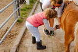 Ferienwohnung in Fehmarn OT Staberdorf - Alte Schule 2 - Bild 22