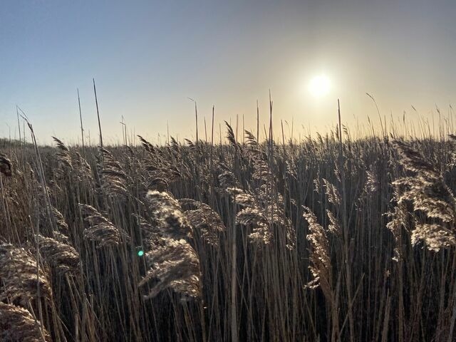Ferienwohnung in Fehmarn - Ferienwohnung Nord - Bild 13