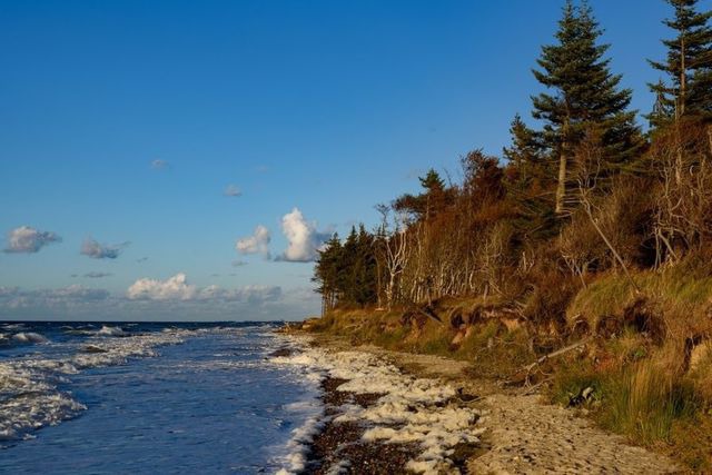 Ferienwohnung in Graal-M&uuml;ritz - Sanddorn - Bild 18
