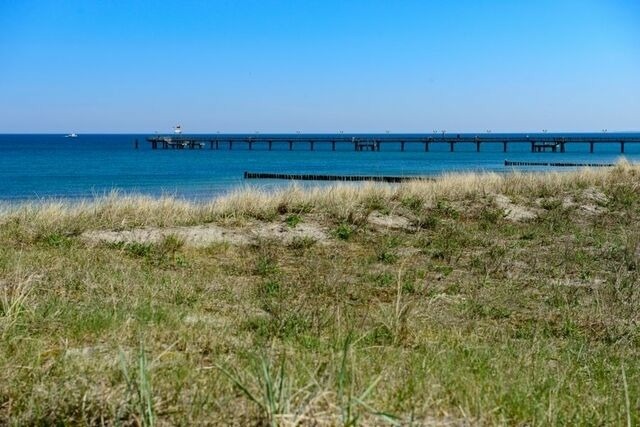 Ferienwohnung in Graal-M&uuml;ritz - Ginster - Bild 25