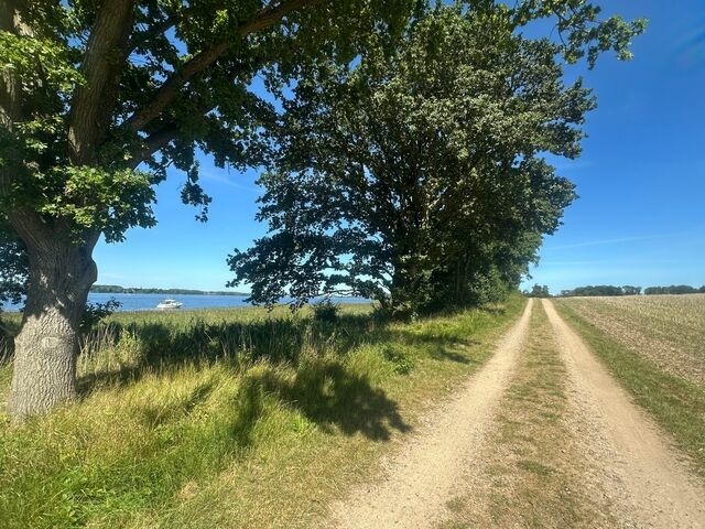 Ferienhaus in Kappeln - Schleibungalow Nr.15 zw. Ostsee und Schlei - Bild 25