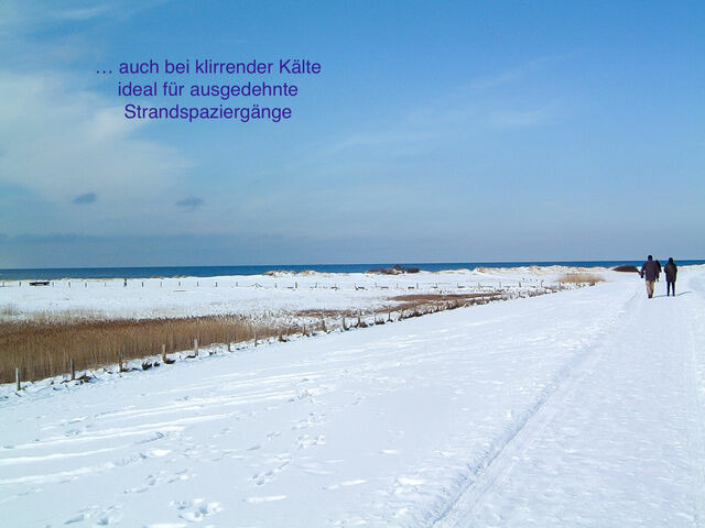 Ferienwohnung in Wendtorf - Whg. Falckenstein - Haus Nordlichter - Bild 24