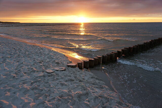 Ferienhaus in Zingst - Kranich - Bild 12