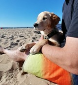 Ferienwohnung in Riepsdorf - Familienzeit - Sp&auml;tsommer an der Ostsee genie&szlig;en! - Bild 14