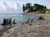 Ferienwohnung in Dahme - "Friesenhof Dahme" Wohnung 1 - Bild 23