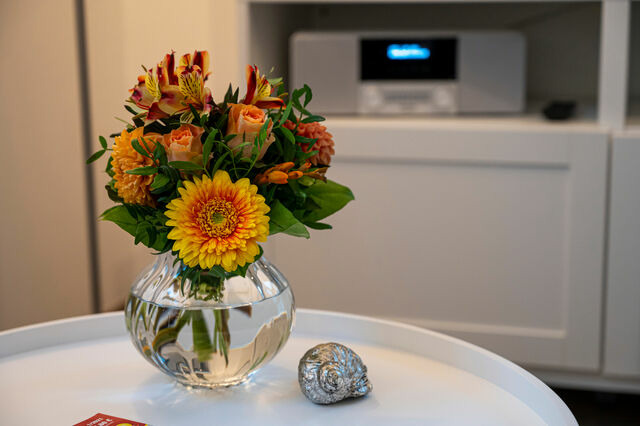 Ferienwohnung in Zingst - M&ouml;&ouml;vkieker - Whg. 3 - Bild 5