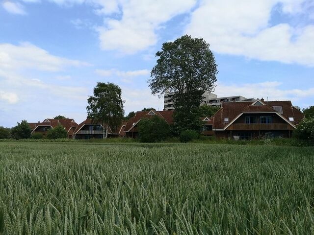 Ferienwohnung in Dahme - Jacobihof Haus 15 Wohnung 02 - Bild 13