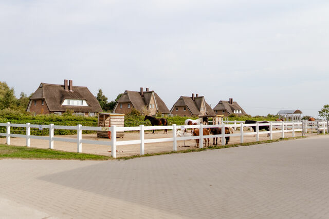 Ferienhaus in Fehmarn OT Staberdorf - Backhaus 4 - Bild 23
