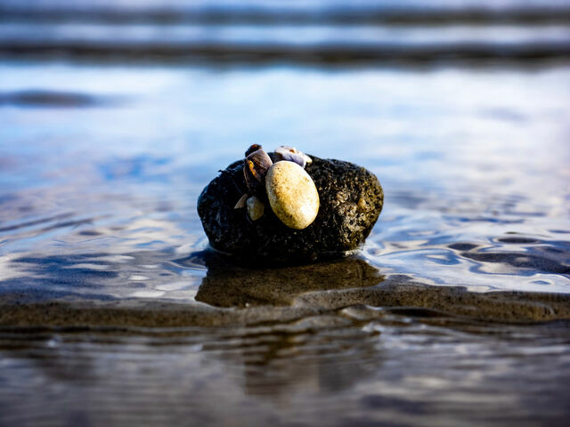 Ferienhaus in Gl&uuml;cksburg - Ferienhaus Holnis 13 - Bild 21