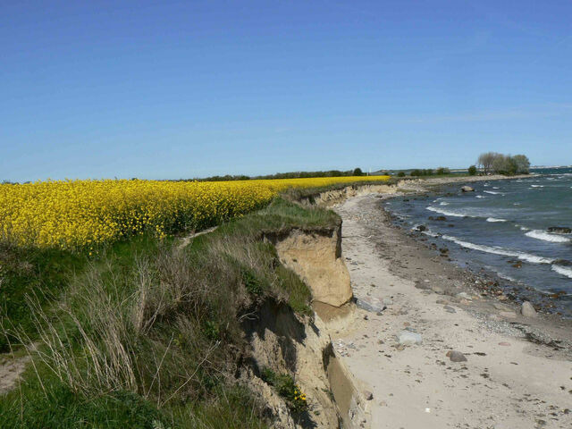 Ferienwohnung in Gro&szlig;enbrode - Strandperle 2 - Gro&szlig;enbrode - Bild 22