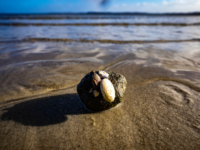 Ferienhaus in Gl&uuml;cksburg - Trehus - Bild 23