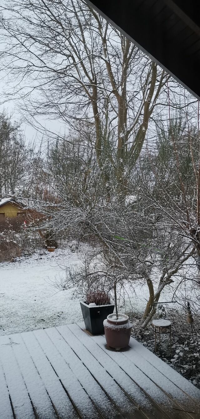 Ferienhaus in Gl&uuml;cksburg - Ferienhaus "Blaue Blume" - Bild 15