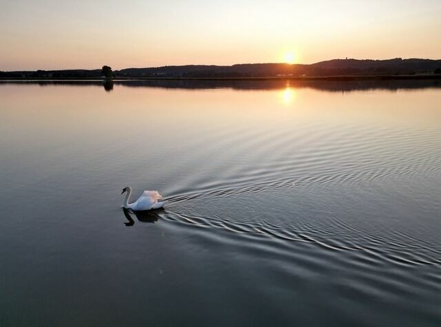 Ferienwohnung in Sellin - Uns L&uuml;tje Hus - Sellin - Bild 23