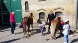 Ferienwohnung in Fehmarn OT Staberdorf - Landhaus 1, inkl. 1 Parkplatz - Bild 11