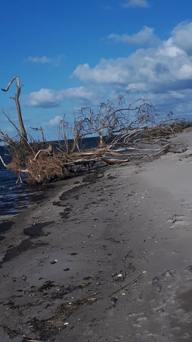 Ferienhaus in L&uuml;tow - Ferienhaus K&ouml;hler Am Achterwasser , Urlaub mit Hund - Bild 23