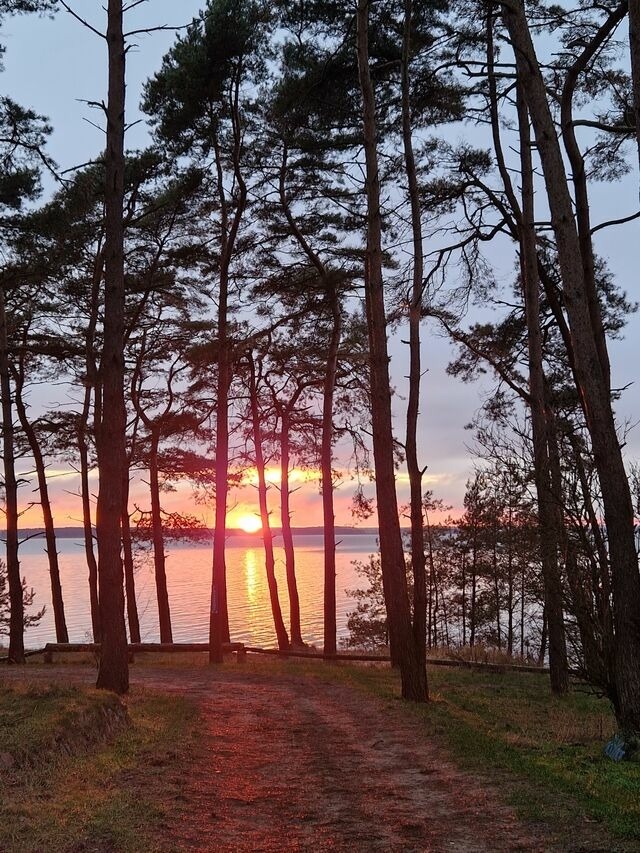 Ferienhaus in L&uuml;tow - Ferienhaus K&ouml;hler Am Achterwasser , Urlaub mit Hund - Bild 22
