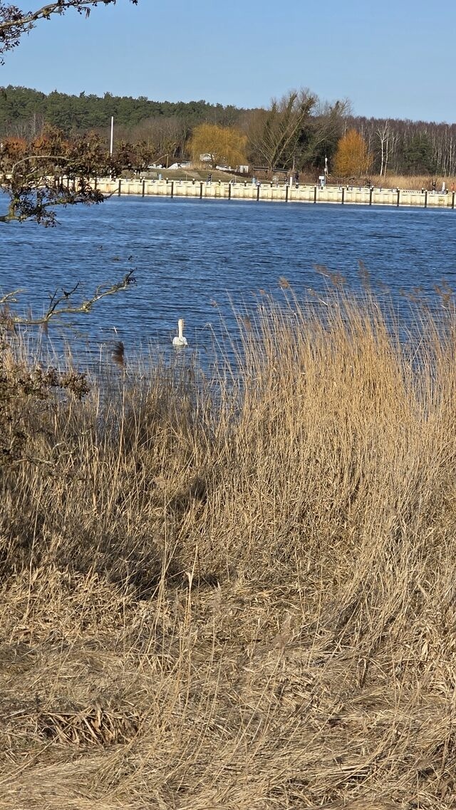 Ferienhaus in L&uuml;tow - Ferienhaus K&ouml;hler Am Achterwasser , Urlaub mit Hund - Bild 24