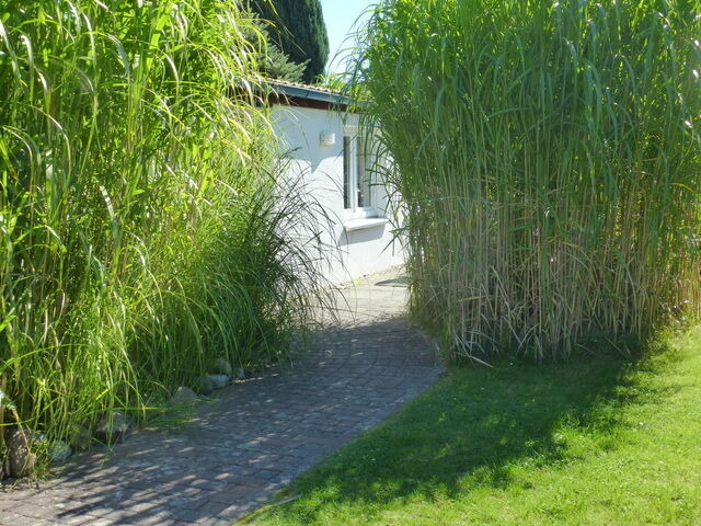 Bungalow in Dahme - Haus Seem&ouml;we - Bild 3