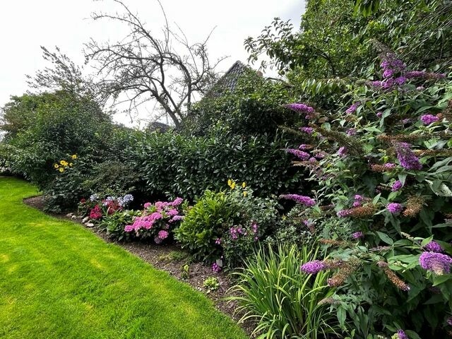 Ferienhaus in Rabenkirchen-Faul&uuml;ck - Ferienhaus Spatz - Bild 16