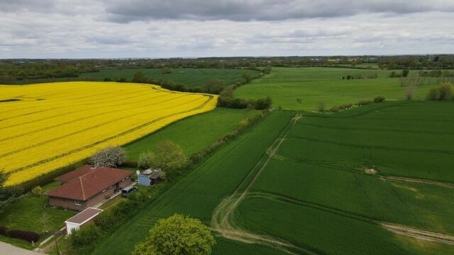 Ferienhaus in Hasselberg - Ferienhaus Knorrl&uuml;ck - Bild 15