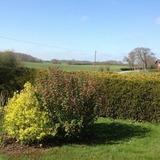 Ferienhaus in Hasselberg - Ferienhaus Knorrl&uuml;ck - Bild 16