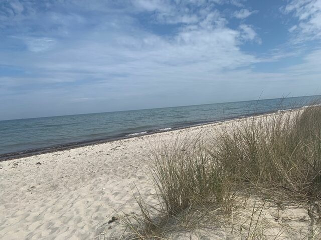 Ferienhaus in Hasselberg - Ferienhaus Knorrl&uuml;ck - Bild 19