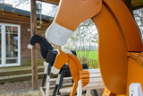 Ferienwohnung in Waabs - Ostseegarten Langholz - Ferienwohnung Spatzennest (bis 4 Pers) - Bild 19