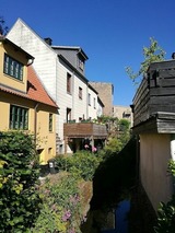 Ferienhaus in Schleswig - Am M&uuml;hlenbach - Ferienhaus Diestel - Bild 19