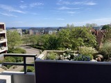 Ferienwohnung in Dahme - Berolina 316 - M&ouml;wennest - Bild 3
