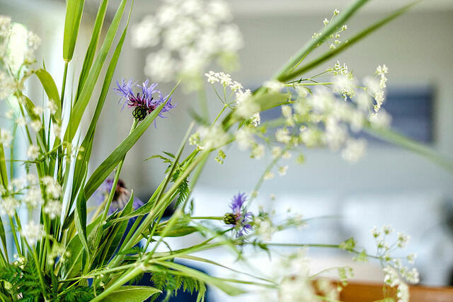 Ferienwohnung in Gelting - Janbecks FAIRhaus - Ferienwohnung Wasser - Bild 5